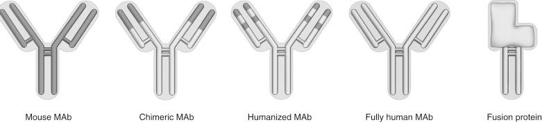 Fig. 19.4, Types of monoclonal antibodies (MAbs) and fusion proteins. Dark areas represent portions of the molecule of nonhuman origin, and light areas represent human proteins.