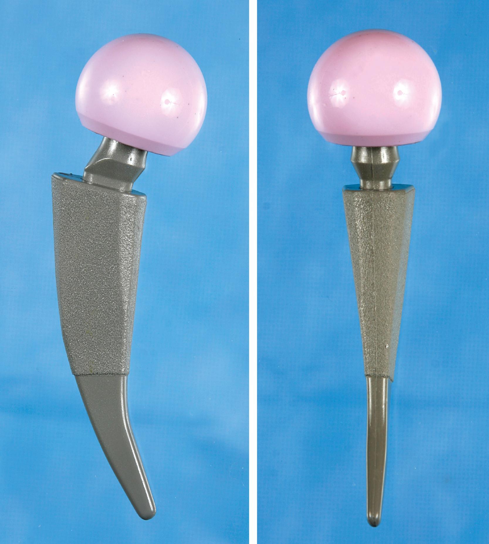 FIGURE 3.28, Metha short hip stem. Designed for less-invasive surgery with retention of femoral neck and metaphyseal fixation (shown with modular neck).