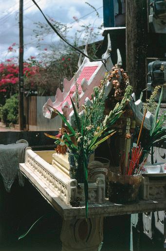 Fig. 1.16, Breeding site of Aedes (Stegomyia) aegypti in a Thai cemetery.