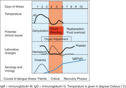 Fig. 1.17, Clinical course of dengue infection.