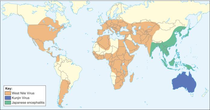 Fig. 1.38, Geographical distribution of the West Nile and Japanese encephalitis viruses.