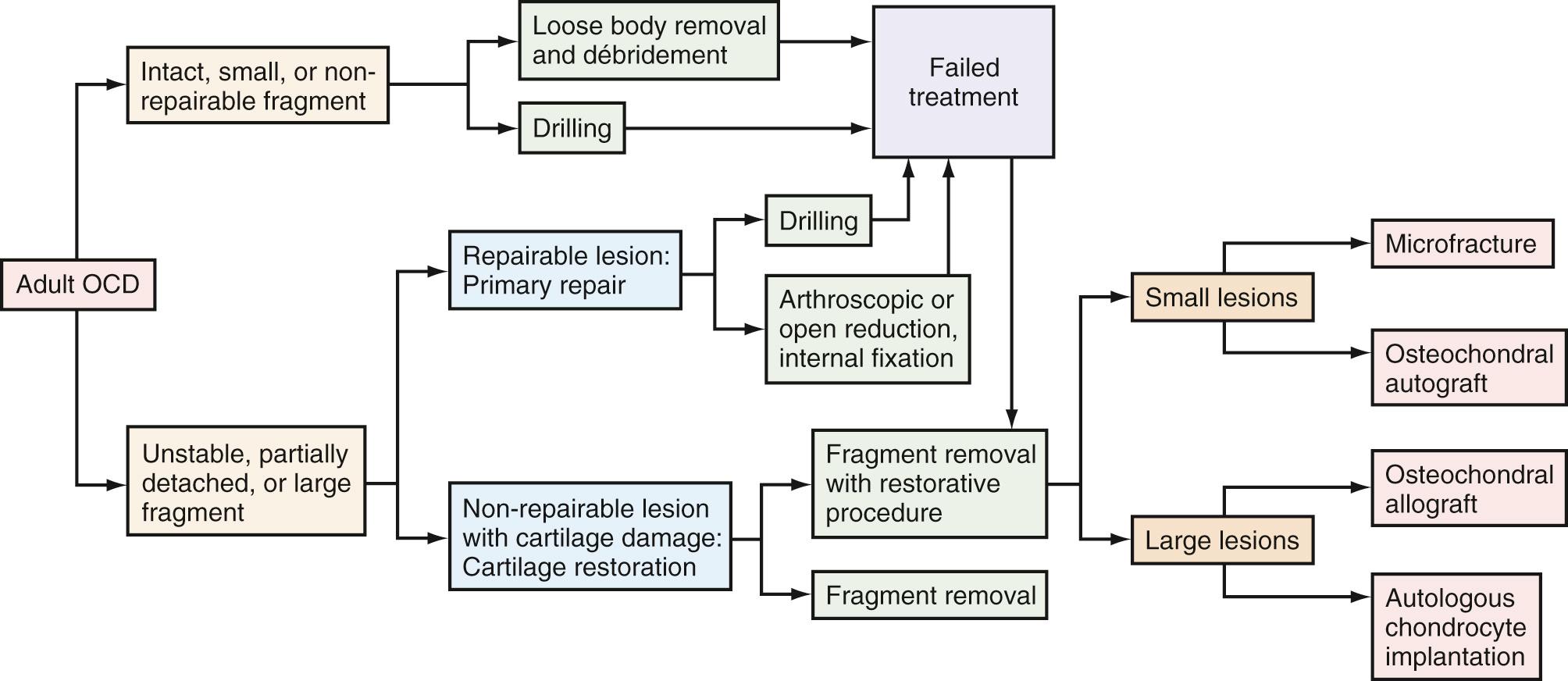 FIG 28.3, Algorithm for surgical treatment of adult osteochondritis dissecans (OCD).