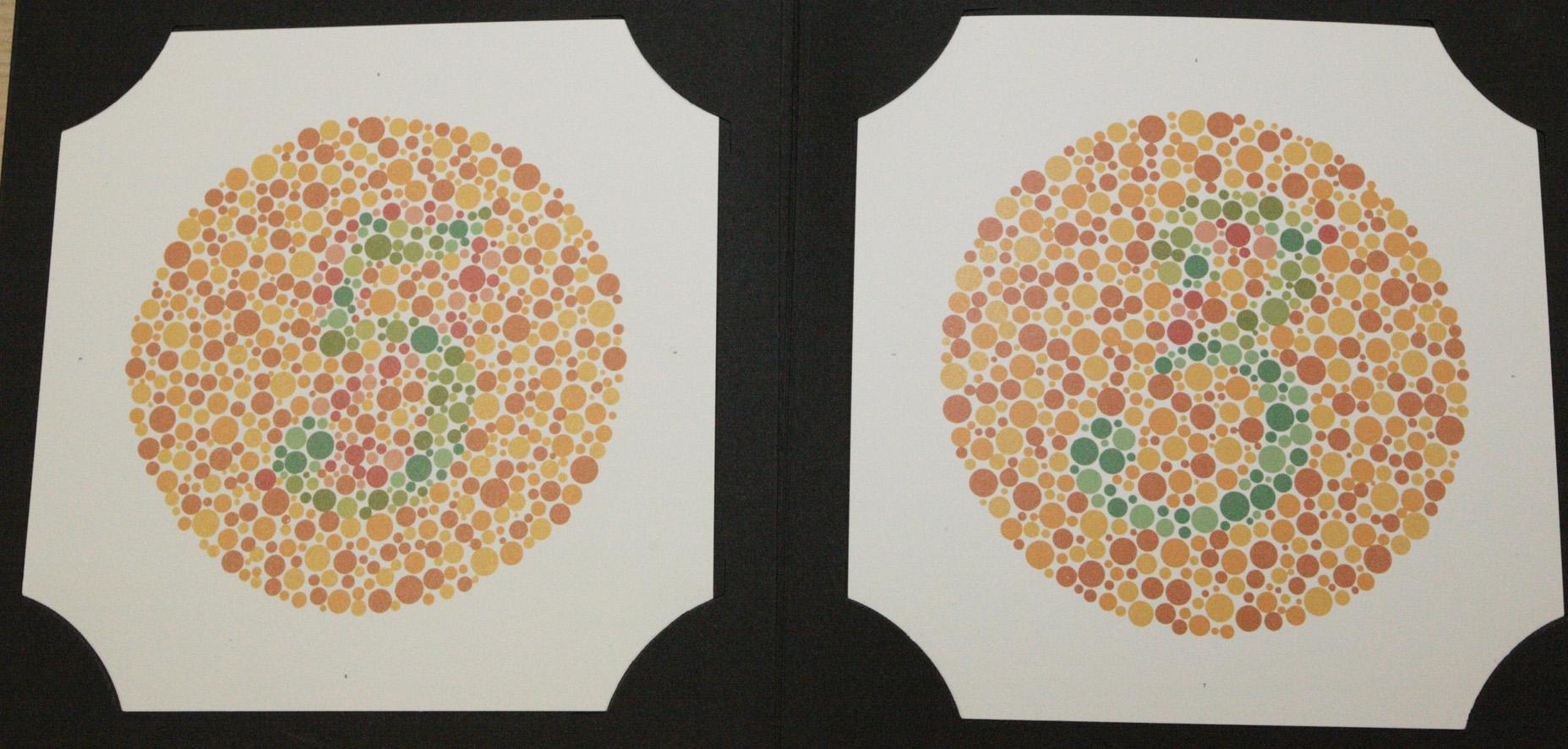 Fig. 3.9, Two Ishihara transformation plates.