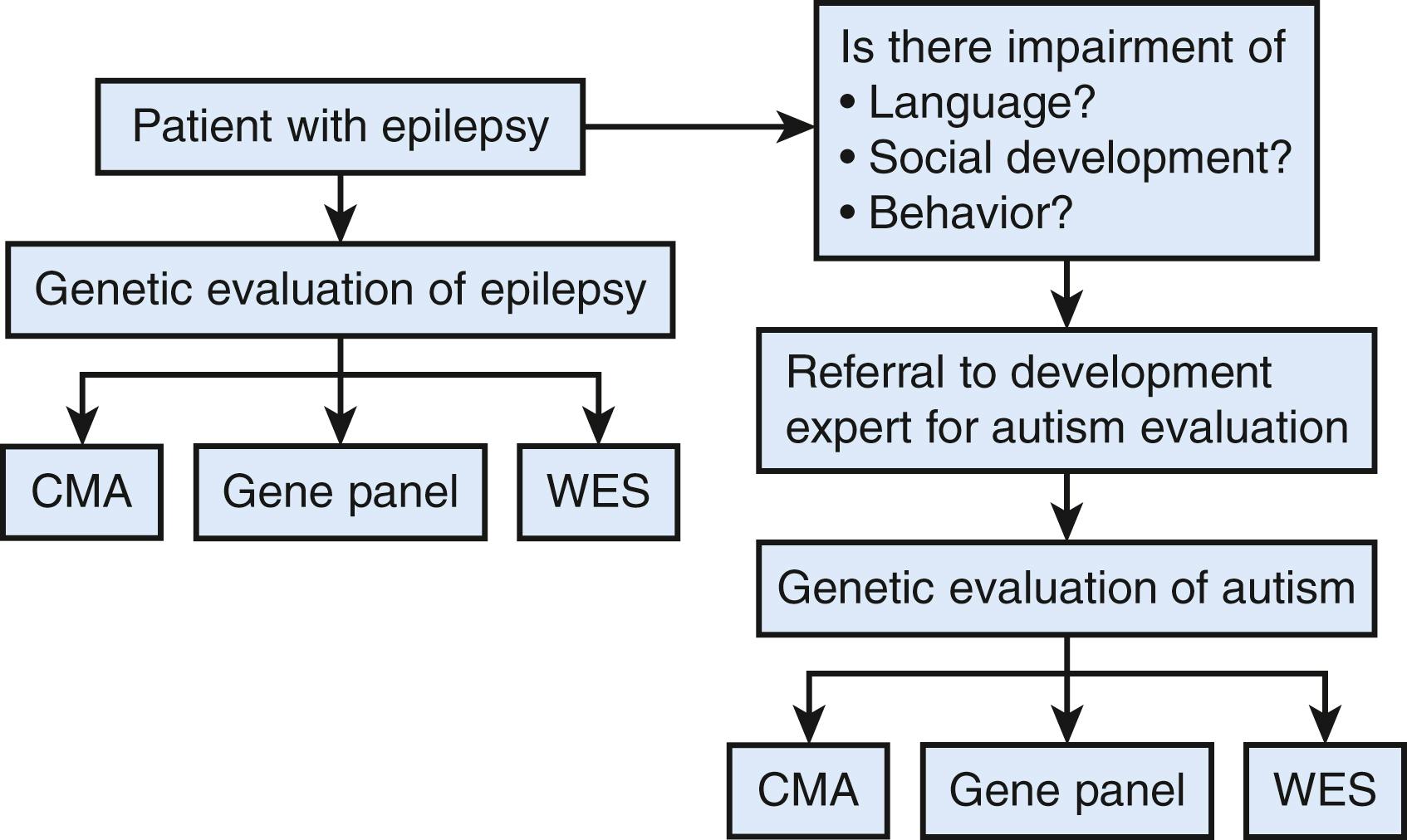 Fig. 32.3, Suggested workflow for evaluation of patients with epilepsy who may be at risk for autism. A patient with epilepsy should be screened for impairment in language, social development, and/or behavior. If warranted, the patient should be referred to a trained expert in autism diagnosis. If a diagnosis of autism is confirmed, or if significant other developmental concerns exist (i.e., intellectual disability), genetic evaluation is appropriate. The clinical genetic evaluation for autism and epilepsy may have overlap and may be tailored by recognition of conditions where autism and epilepsy overlap. Current clinical genetic evaluation includes sequential chromosomal microarray (CMA), autism and epilepsy next-generation sequencing gene panels, and, if necessary, whole exome sequencing (WES).