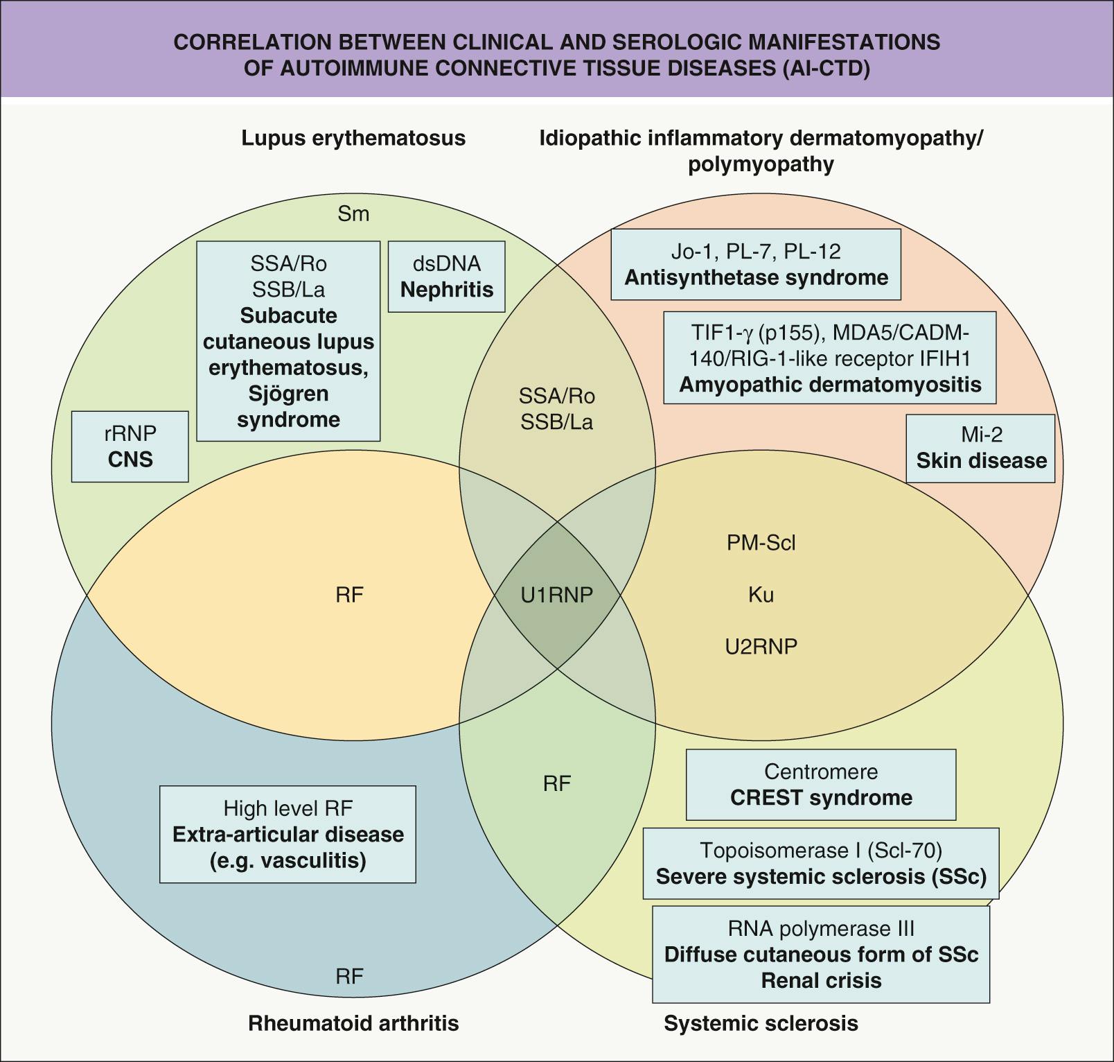 Fig. 40.1, Correlation between clinical and serologic manifestations of autoimmune connective tissue diseases (AI-CTDs).