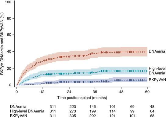 Fig. 23.1, BKPyV DNAemia (>0 copies/mL), high-level DNAemia (>10,000 copies/mL), and biopsy-proven nephropathy in 311 children who received a kidney transplant in Europe.