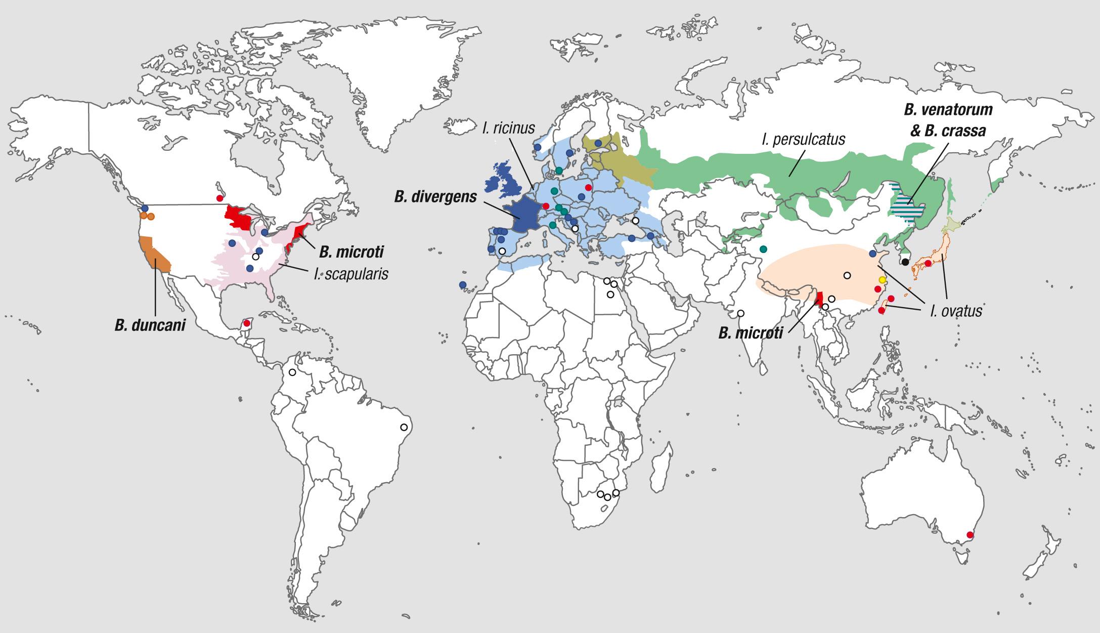 FIG. 281.1, Geographic distribution of human babesiosis and its tick vectors.