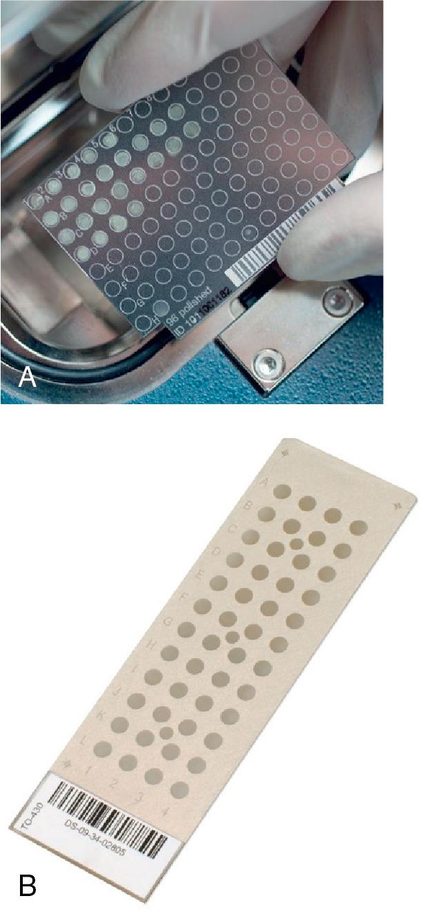 FIGURE 84.5, (A) Reusable polished steel target plate for Bruker Biotyper. (B) Disposable target plate for Vitek MS.