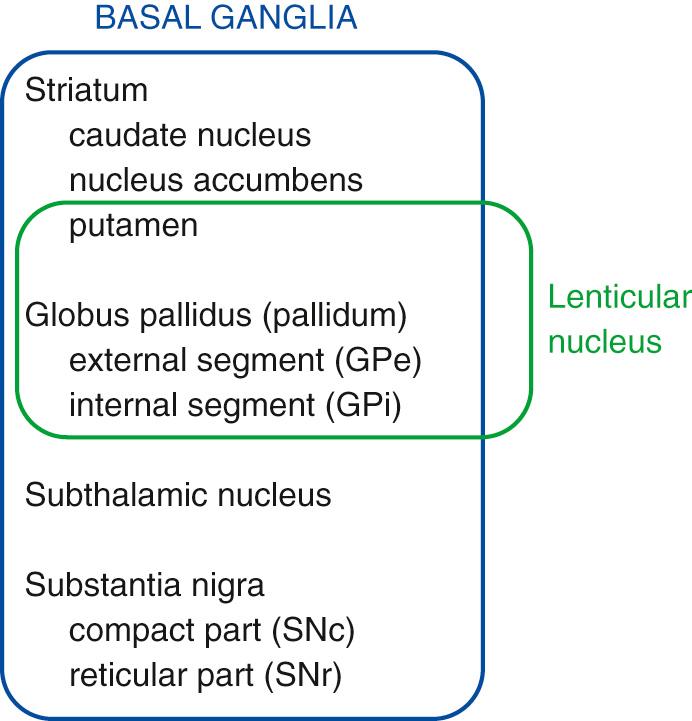 Fig. 19.3, Terminology associated with the basal nuclei.