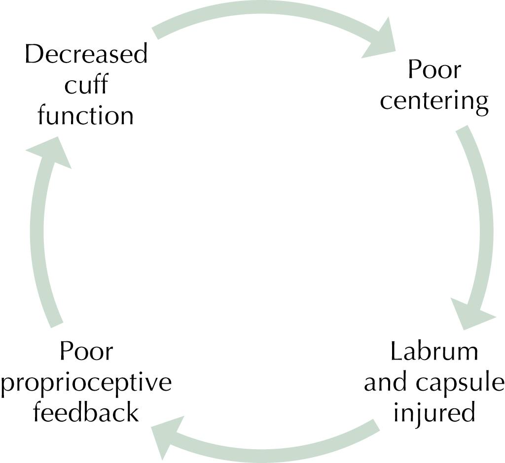 Figure 74.3, Cycle of injury. With decreased cuff function because of injury or fatigue, poor centering of the humeral head in the glenoid occurs, resulting in compression or tension to the labral and capsule and possible injury. With loss of labral and capsular proprioceptive feedback, the cuff’s function is further diminished and the cycle continues. Note that the cycle may also begin with an acute injury to the labrum.