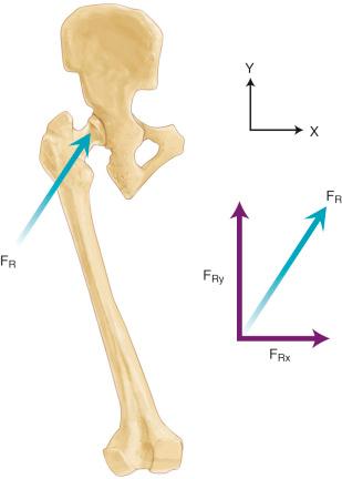 Fig. 2.3, Force vector (F R ) representing the joint reaction force between the femoral head and acetabulum, and F R resolved into its individual component forces ( F Rx and F Ry ) in the x and y directions.