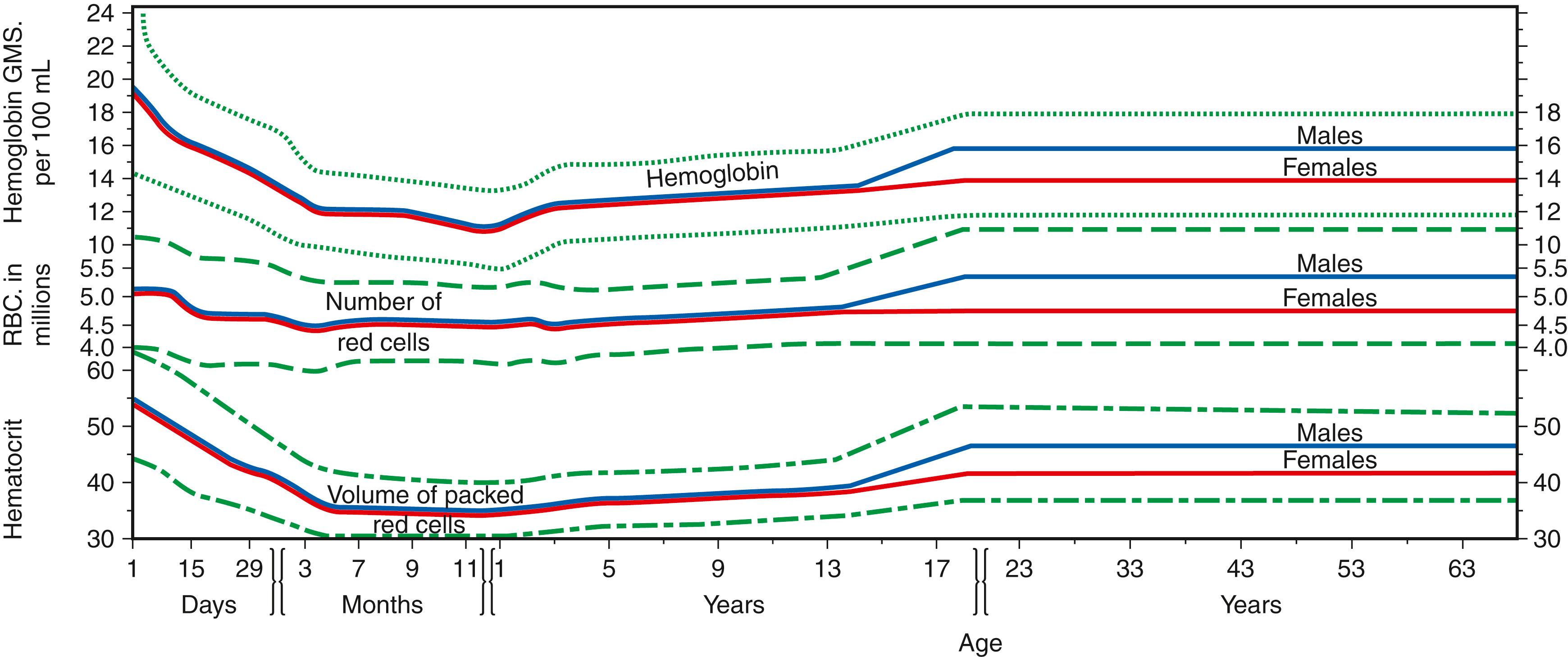 Figure 31.3, Values for hemoglobin (Hb), hematocrit (Hct; volume of packed red cells), and red cell count from birth to old age. Mean values are heavy lines. Reference interval for Hb is indicated by dotted lines, for red cell counts by dashed lines, and for Hct by dotted and dashed lines. The scales on the ordinate are similar, so that relative changes in Hb, red cell count, and Hct are apparent on inspection. The scale for age, however, is progressively altered ( Wintrobe, 1974 ).