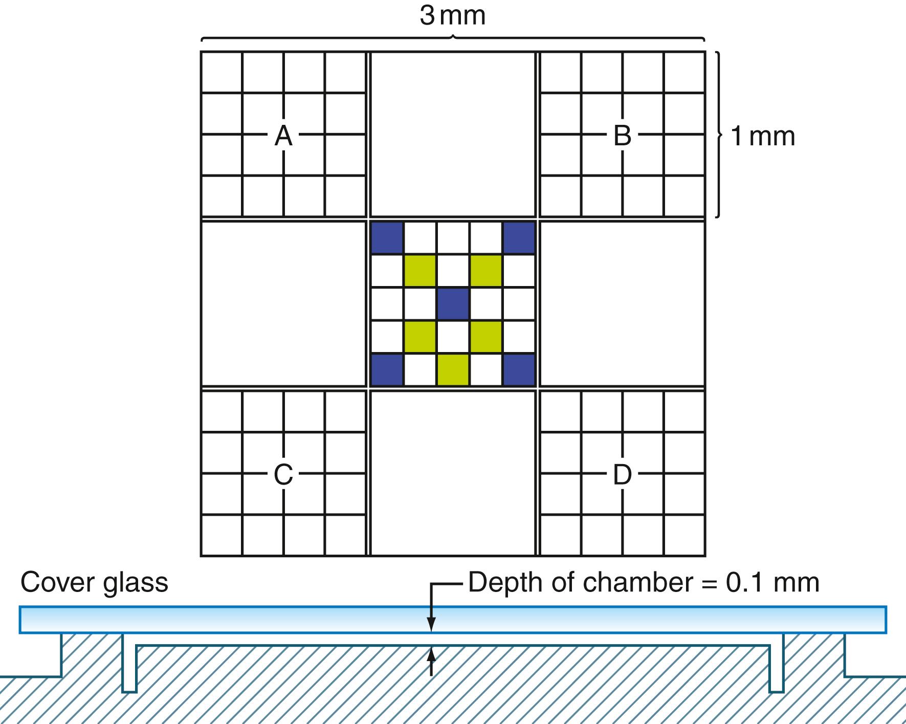 Figure 31.4, The upper figure is a diagram of the improved Neubauer ruling; this is etched on the surface of each side of the hemocytometer. The large corner squares, A, B, C, and D, are used for leukocyte counts. The five blue squares in the center are used for red cell counts or for platelet counts, and the 10 green plus blue squares for platelet counts. Actually, each of the 25 squares within the central sq mm has within it 16 smaller squares for convenience in counting (not shown). The lower figure is a side view of the chamber with the cover glass in place.