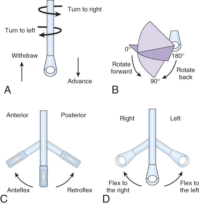 Fig. 11.1, Ways to adjust the probe. (A) Probe movement in the esophagus. (B) Scanning angles obtained by crystal rotation. (C) Movement of the tip forward and back. (D) Movement of the tip from side to side.