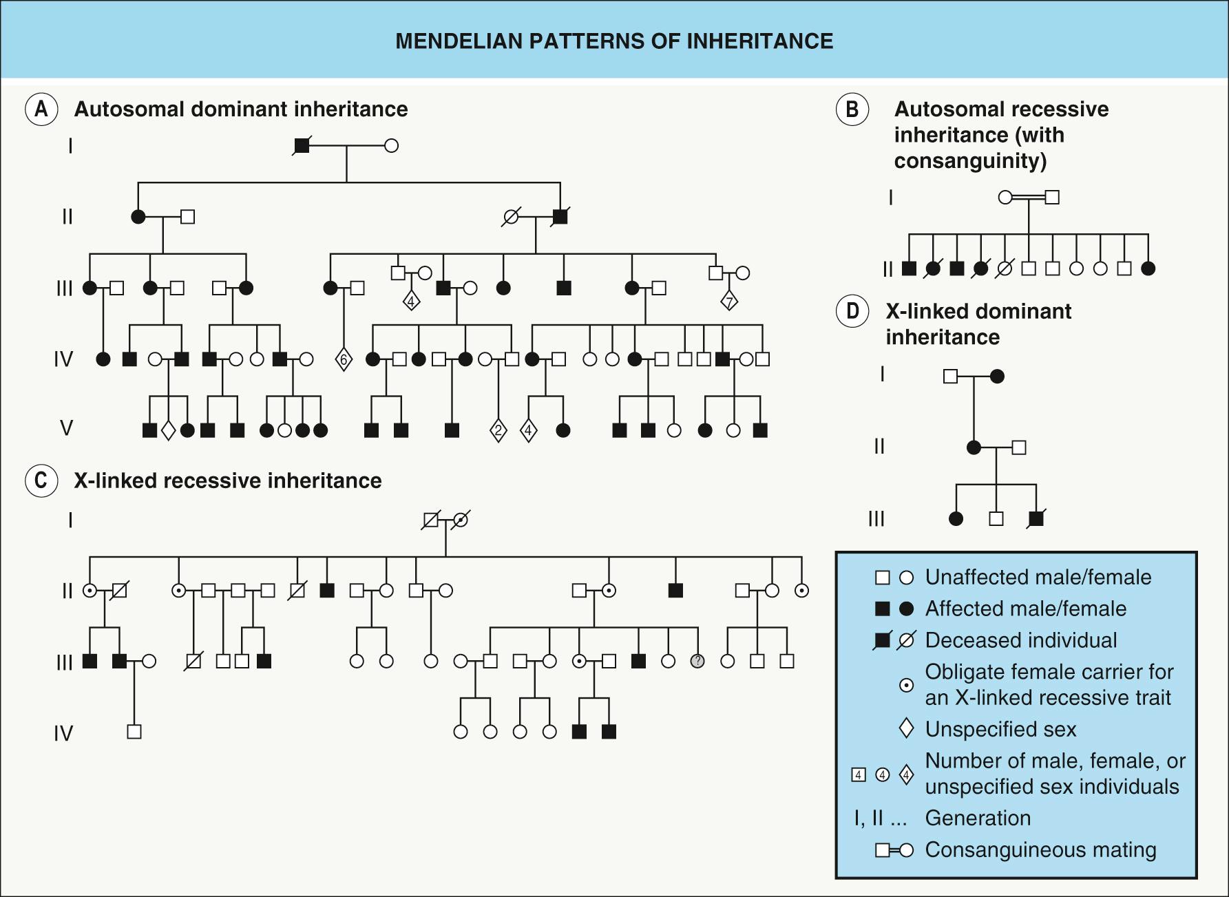 Fig. 54.1, Mendelian patterns of inheritance.