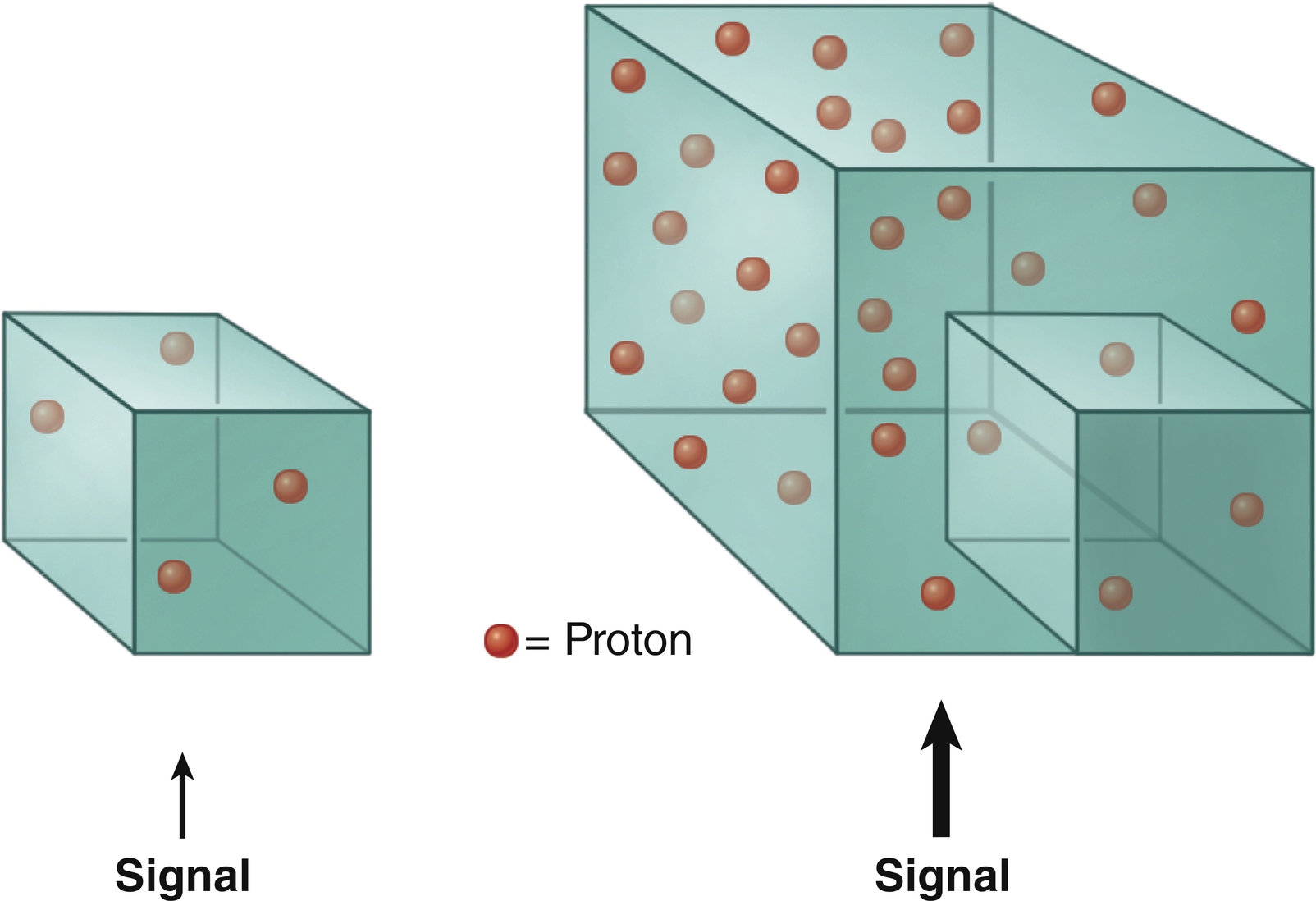 Fig. 1.4, Voxel size versus signal.