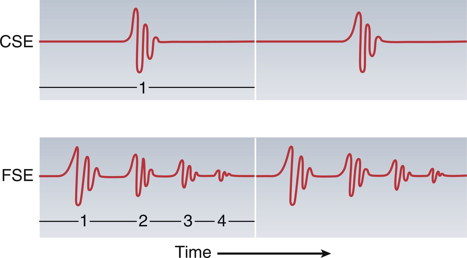 Fig. 1.8, Conventional versus FSE pulse sequences.