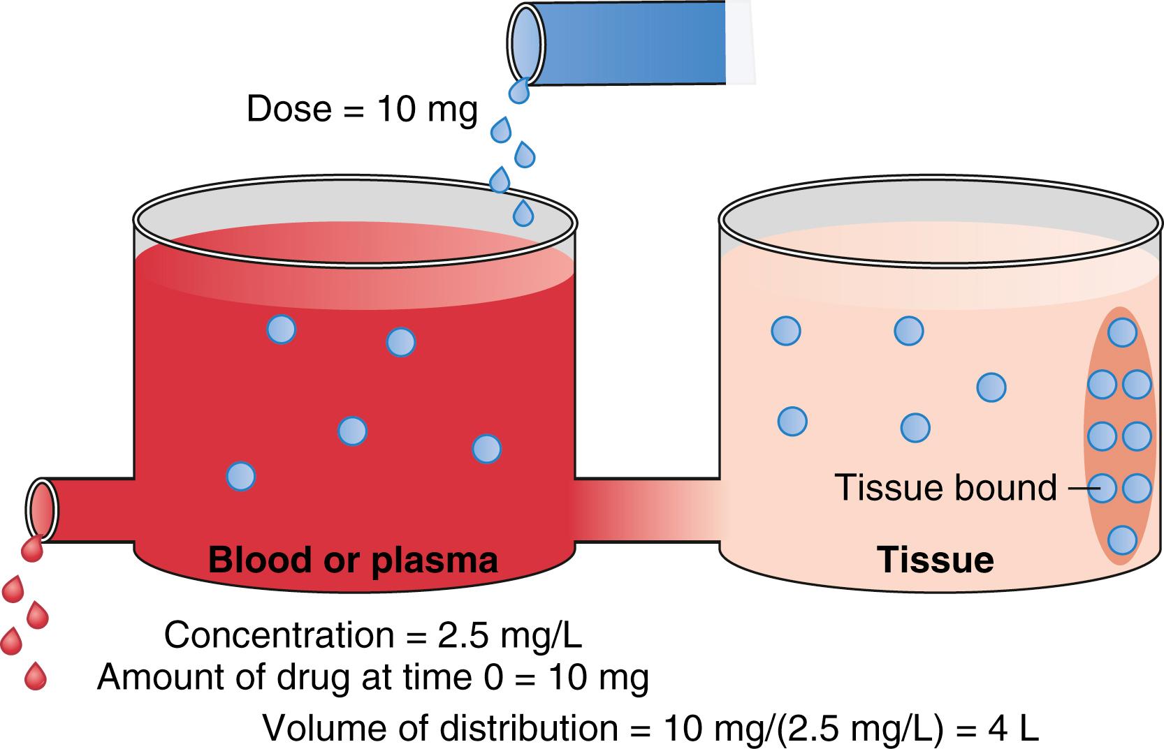 Fig. 18.4, Schematic of a two-tank model. The total volume of distribution consists of the sum of the two tanks. The brown ellipse in the peripheral volume represents tissue that binds up drugs. The measured concentration in the blood or plasma is 2.5 mg/mL just after a bolus dose of 10 mg. Using Fig. 18.1 , this leads to a distribution volume of 4 L.