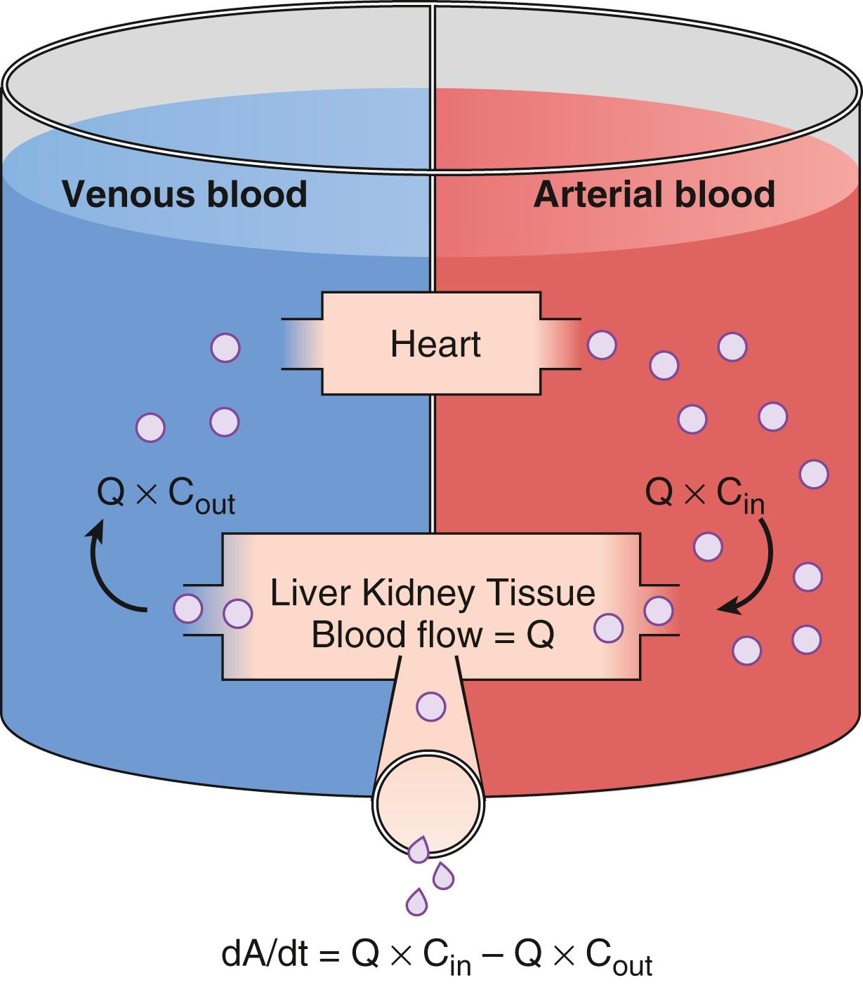 Fig. 18.9, Schematic of drug extraction. Q indicates blood flow. C in and C out indicate drug concentrations presented to and leaving metabolic organs. A indicates the amount of drug, and dA/dt is the drug elimination rate.