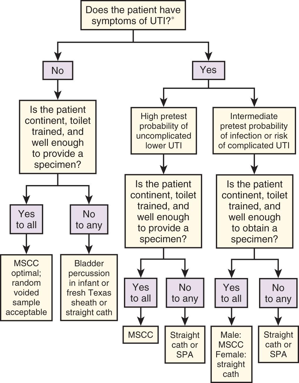 Figure 67.1, Algorithm for deciding method of obtaining urine specimen for evaluation of possible urinary tract infection. For initial presentation with symptoms in otherwise healthy females: no urine testing indicated; see text. MSCC, Midstream clean catch; SPA, suprapubic aspiration; UTI, urinary tract infection.