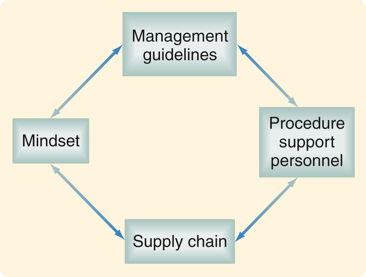 Fig. 23.2, Fundamentals vital to the success of bedside surgical procedures.