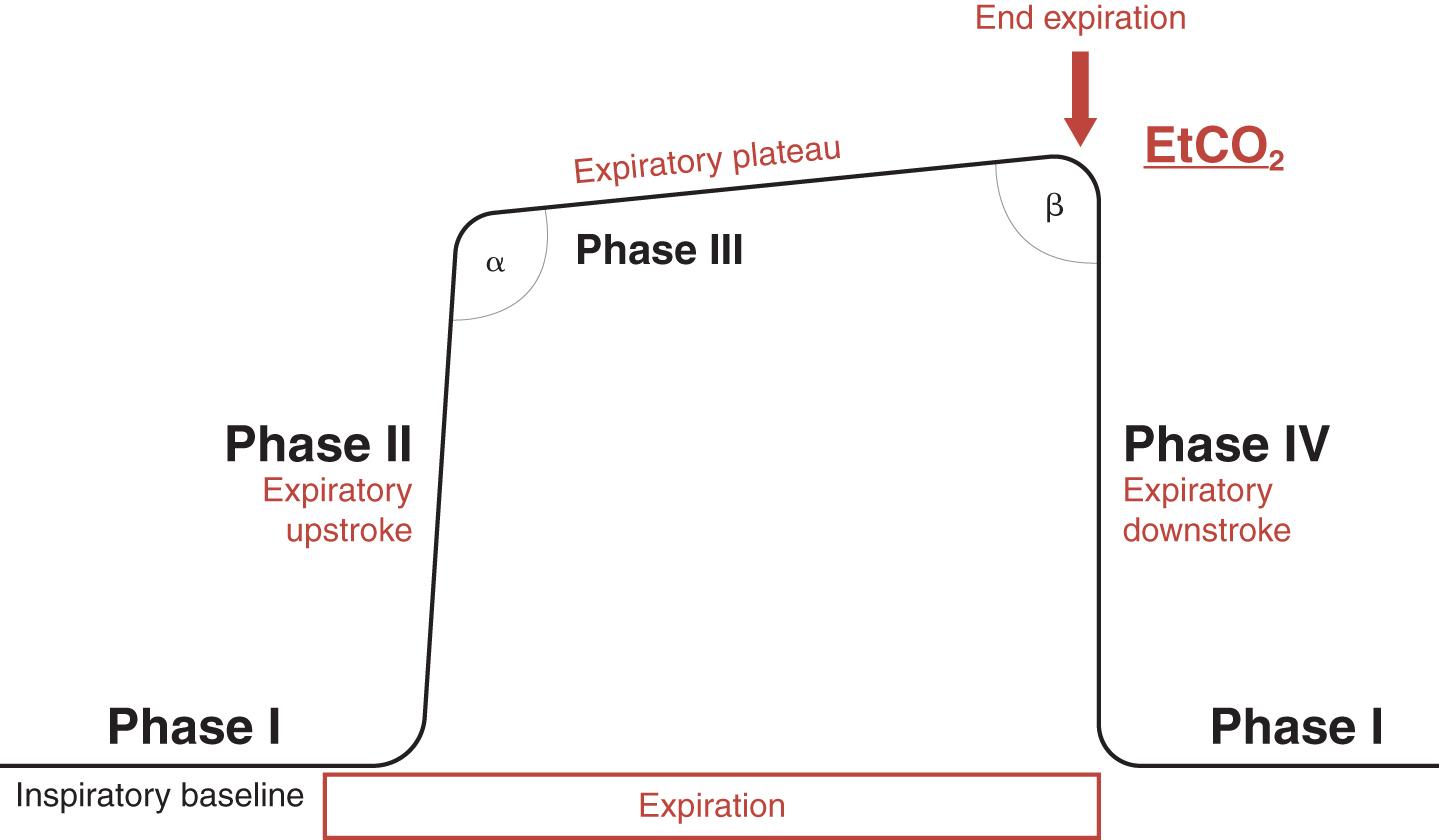 Fig. 33.4, Normal capnography trace.