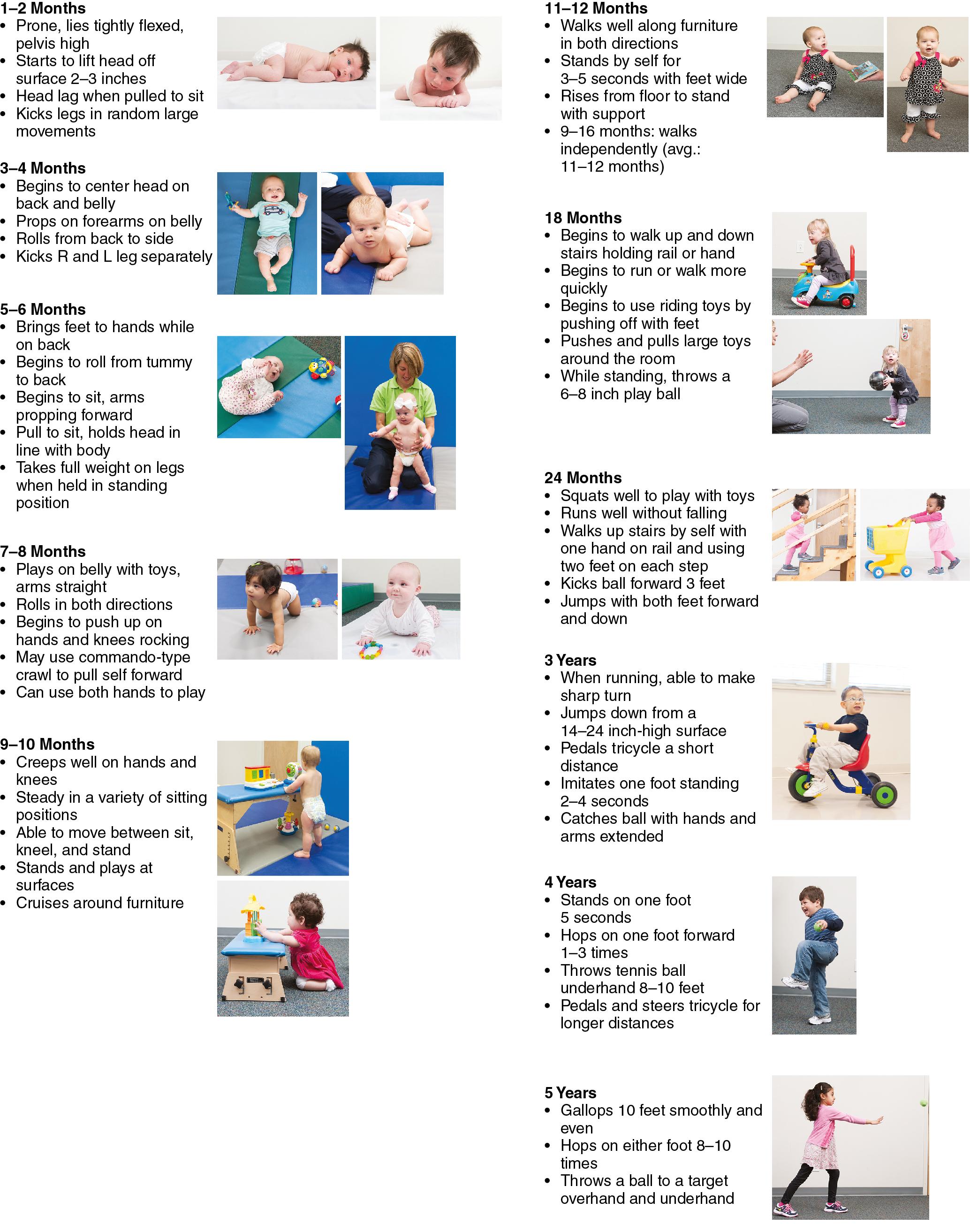 Fig. 2.2, Gross Motor Skills Development Chart.