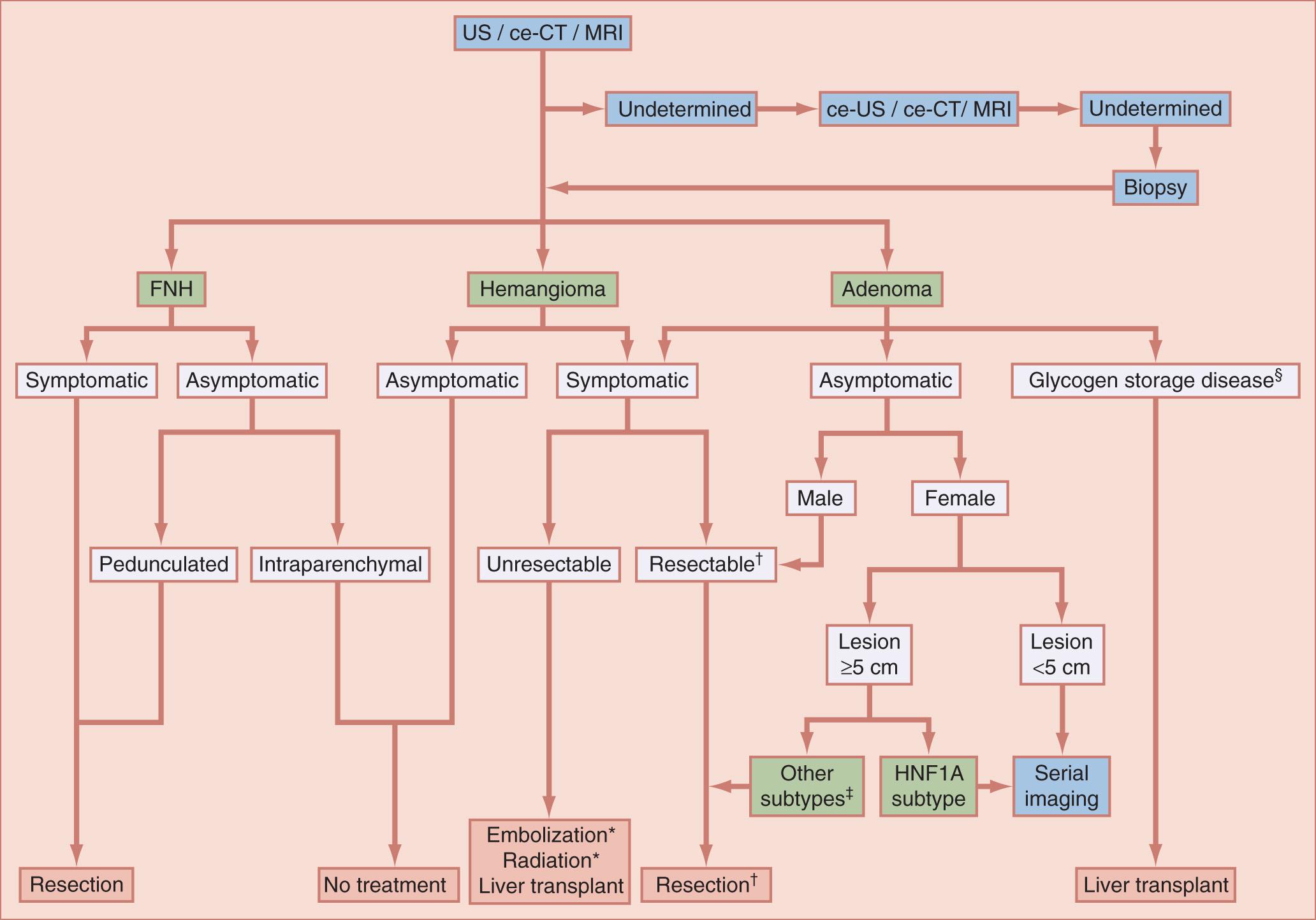 FIGURE 131.2, Flowchart depicting the diagnostic and therapeutic management for suspected focal benign liver lesion (hemangioma, FNH, adenoma) in noncirrhotic patients. *Embolization and radiation are accepted treatment options for hemangioma. † Instead of resection, enucleation of a hemangioma can be performed. ‡ IHCA, b-HCA, unclassified subtypes. § Glycogen storage diseases that are indications for liver transplantation include glycogenosis type 1a (defect in G6PC gene), type 4 (GBE1 gene defect) and type 9 (PHKG2 gene defect), whereby type 1a glycogenosis shows the strongest association with adenomatosis. 55 ce-US , Contrast-enhanced ultrasound; ce-CT , contrast-enhanced computed tomography, FNH, focal nodular hyperplasia; MRI, magnetic resonance imaging; IHCA, inflammatory hepatocellular adenoma; b-HCA, β-catenin–mutated hepatocellular adenoma; HNF1A, HNF1α-mutated hepatocellular adenoma.