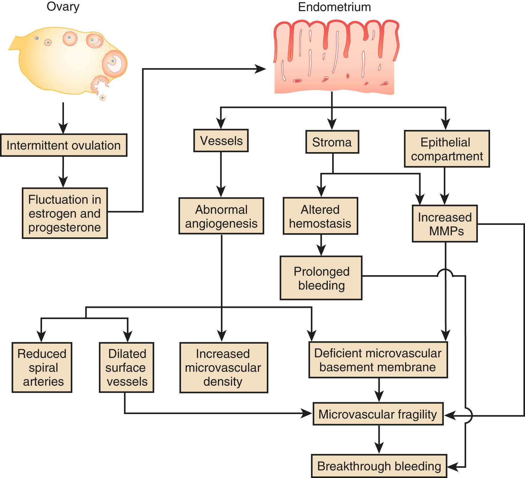 Fig. 26.1, Ovarian and uterine mechanisms underlying breakthrough bleeding.