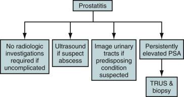 Figure 73-4, Imaging algorithm for prostatitis. PSA, prostate-specific antigen; TRUS, transrectal ultrasonography.