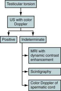 Figure 78-3, Imaging algorithm for testicular torsion. MRI, Magnetic resonance imaging; US, ultrasound.