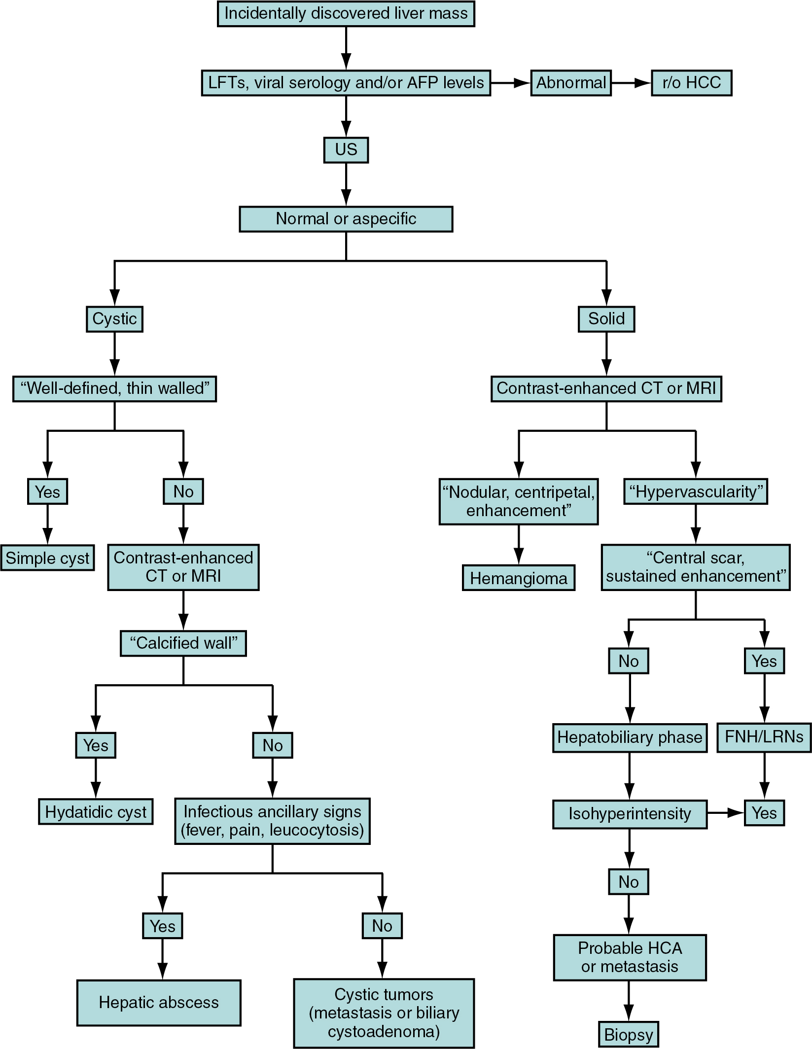 Fig. 17.1, Flow chart of a practical diagnostic approach to management of benign hepatic lesions. AFP , Alpha-fetoprotein; CAs , contrast agents; CT , computed tomography; FNH , focal nodular hyperplasia; HCA , hepatocellular adenoma; HCC , hepatocellular carcinoma; LFTs , liver function tests; LRNs , large regenerative nodules; MRI , magnetic resonance imaging; r/o , rule out; US , ultrasound.