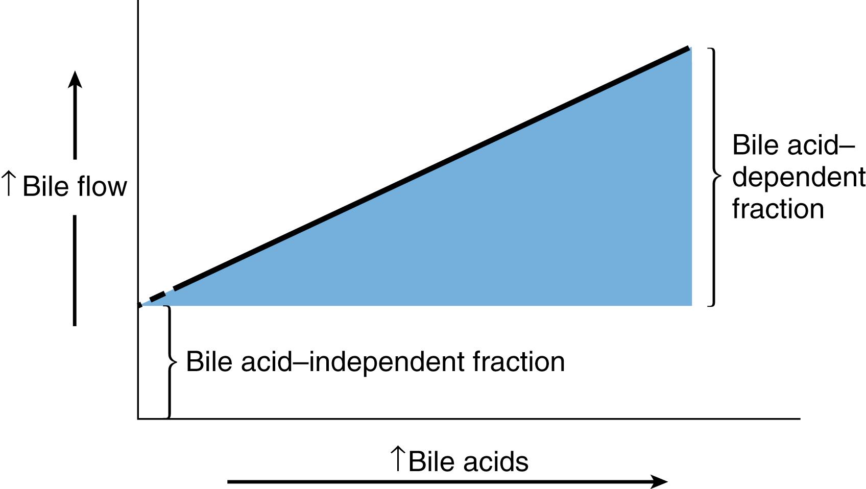 Fig. 89.5, Bile acid–dependent flow and bile acid–independent flow. Note the linear relationship between bile acid secretion and bile acid–dependent flow (BADF). The majority of bile flow is BADF that is reduced with smaller bile acid pool sizes, such as those of infants. The contribution made by bile acid–independent flow (BAIF) to total bile flow is approximately 25% and estimated by the extrapolation of the relationship between biliary flow and bile acid excretion to the y-axis, the imaginary point at which no bile acid secretes.