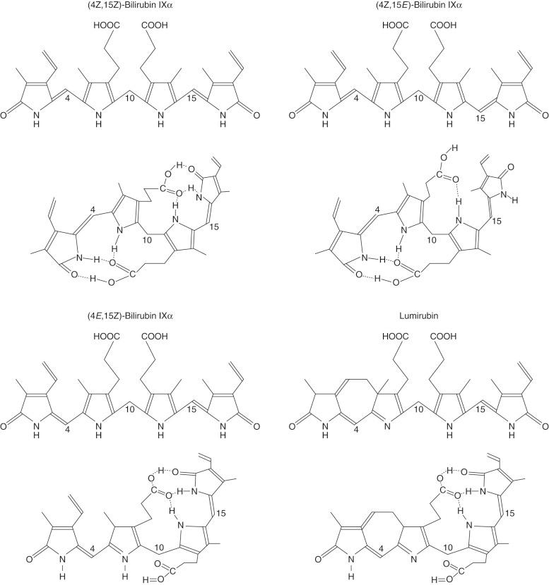 Fig. 58-3, Photoisomerization of bilirubin IXα.