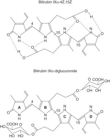 Fig. 58-5, Effect of sugar conjugation on the structure of bilirubin.