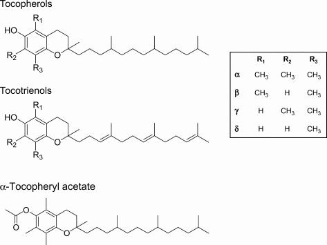 Fig. 52.1, Chemical structures of vitamin E. To be absorbed by the enterocyte, tocopheryl esters need to be hydrolysed to tocopherols.