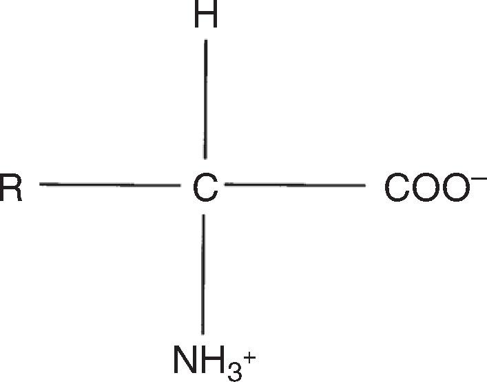 Fig. 9.3, General structure of an amino acid. R is a side chain that defines the amino acid. (See also Fig. 9.4 .)