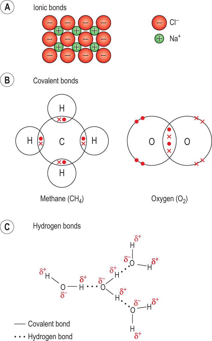 Fig. 2.3, Different types of chemical bond.