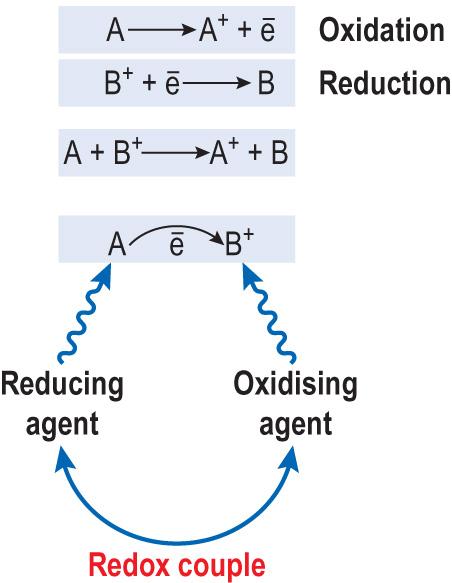 Fig. 2.5, Oxidation–reduction reaction.