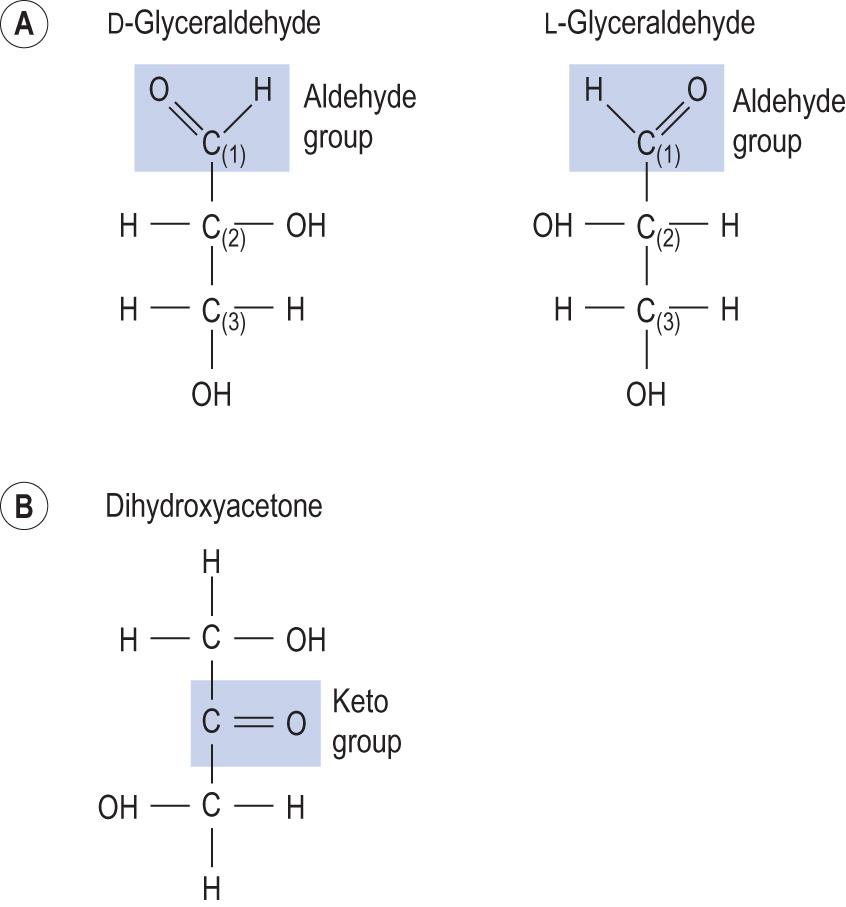 Fig. 2.6, Structure of trioses.