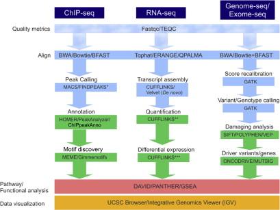 Figure 5.1, Bioinformatic Analysis Workflow in Next-Generation Sequencing Approaches.