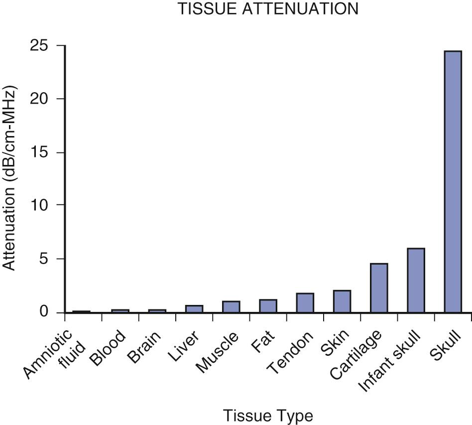 FIG. 2.2, Tissue Attenuation.