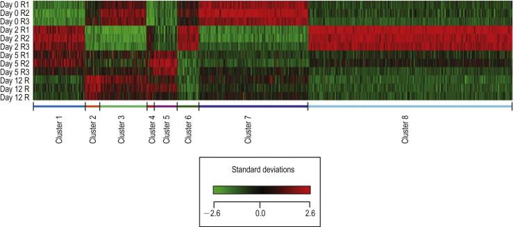 Figure 94-2, K-means clustering of variance normalized signal values for genes with significant changes in blebs following glaucoma filtration surgery. Each row represents a sample and each column a gene. The scale represents standard deviations from the mean after a Z-transformation of signal values of a gene across all samples. Red represents a higher level of gene expression and green a lower level, relative to the mean across all samples for each gene. The line and hash marks below mark the boundary between individual clusters. Expression of 923 genes changed significantly (p < 0.005) during healing, and included growth factors (TGFβs, CTGF, FGFs), extracellular matrix proteins (collagen, fibronectin, laminin, luminican) and proteases (MMP-2, MMP-9).