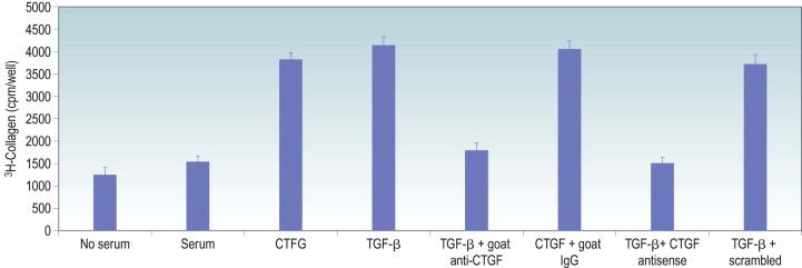 Figure 94-4, Inhibition of TGF-β-mediated synthesis of collagen by CTGF antibodies and CTGF antisense oligonucleotides. Culture of human corneal fibroblasts was incubated in chemically defined medium (CDM) with the indicated additions for 36 hours and the level of collagen synthesis measured by incorporation of tritium-labeled proline. Addition of TGF-β1 or CTGF to the CDM significantly increased collagen synthesis compared to serum-free medium. Addition of neutralizing antibodies or antisense oligonucleotides to CTGF blocked TGF-β-induced collagen synthesis, indicating that CTGF mediates the effects of TGF-β on collagen synthesis.