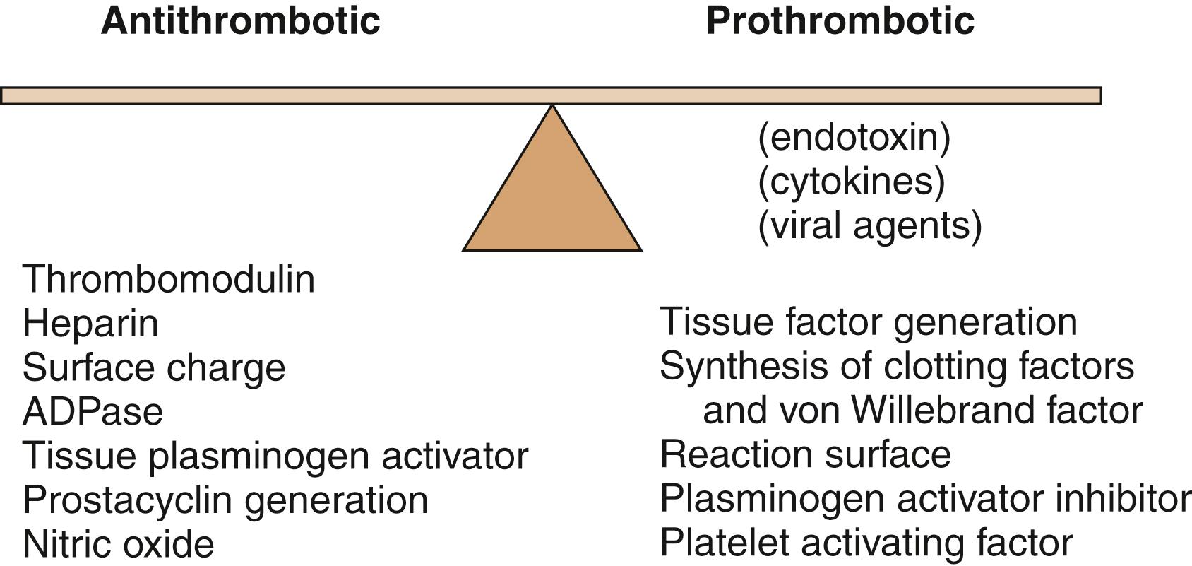 Fig. 51.4, Endothelial balance. The pivotal role of the endothelium in maintaining a balance between antithrombotic and prothrombotic activities, as influenced by endotoxins, viruses, and immunomodulatory cytokines. ADPase, adenosine diphosphatase.