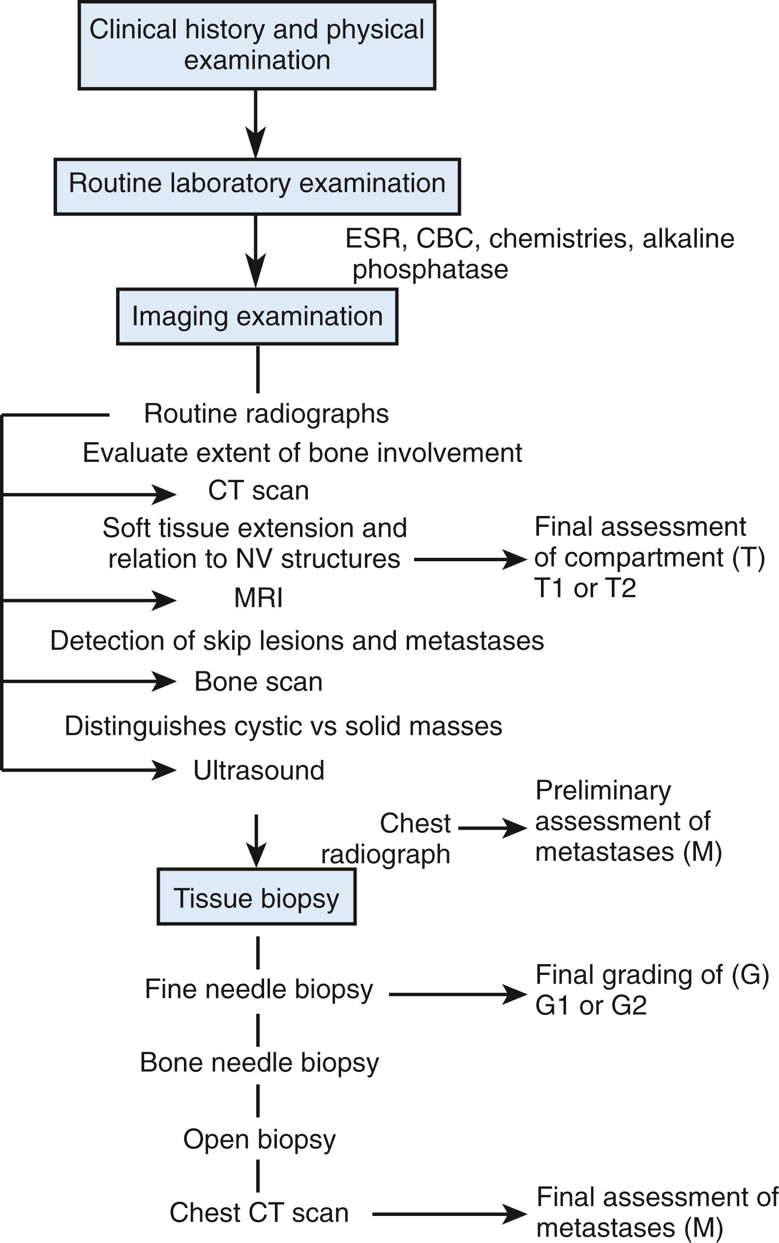 Fig. 59.1, Suggested evaluation protocol for suspected musculoskeletal neoplasms. CBC, Complete blood count; CT, computed tomography; ESR, erythrocyte sedimentation rate; MRI, magnetic resonance imaging; NV, neurovascular.