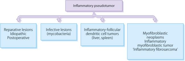 Fig. 9.18, A variety of lesions of differing etiologies have been referred to as inflammatory pseudotumor .