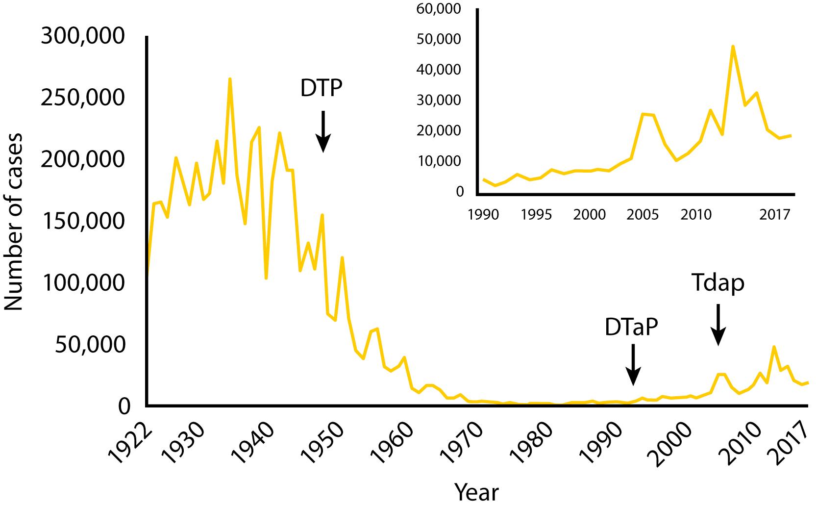 Fig. 3.2, Centers for Disease Control and Prevention (CDC) reported National Notifiable Diseases Surveillance System (NNDS) pertussis cases: 1922–2017. DTaP, Diphtheria toxoid, tetanus toxoid, acelluar pertussis; DTP, diphtheria toxoid, tetanus toxoid, whole-cell pertussis Tdap, tetanus toxoid, reduced dose diphtheria toxoid, reduced dose acellular pertussis.