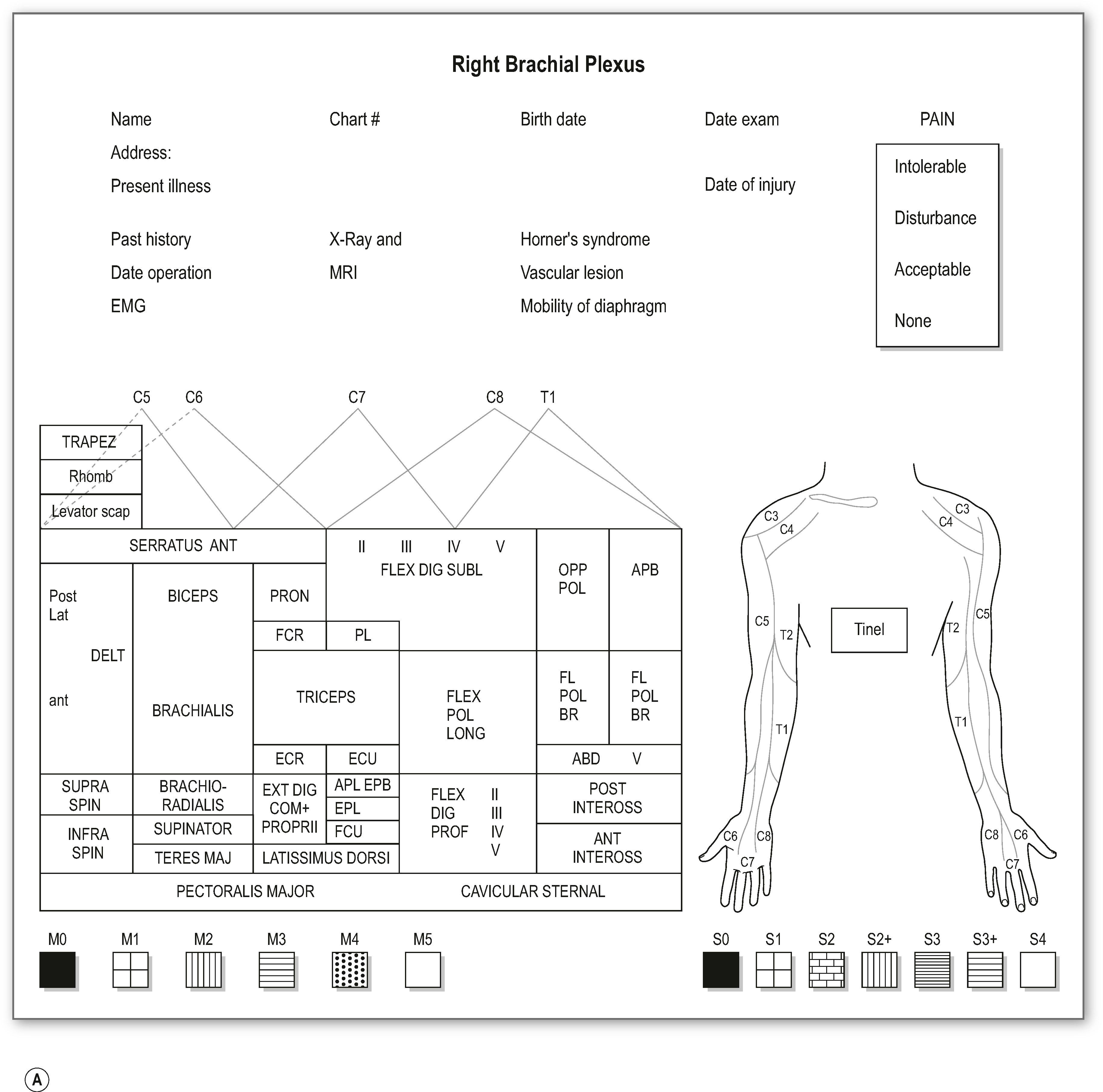 Figure 23.5, Special charts for evaluation of the brachial plexus injured patient, (A) for the right and (B) for the left upper limb.