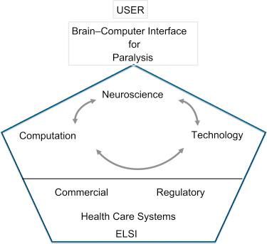 Figure 25.2, Components required to create a useful brain–computer interface for humans. A functioning device requires interaction between basic neuroscience and computation (including modeling, theory, and data analysis) as well as technology to develop probes and electronics suitable for implantation in humans, processing signals, and controlling or providing feedback from devices. This system must be built to be commercially viable, meet regulatory tests and standards, and be acceptable to health care systems for reimbursement. Most importantly the technology must meet the needs of and be acceptable to users. Ethical, legal, and social implications ( ELSI ) are especially critical considerations for devices that interact with the brain.